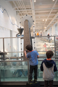 Auch das Thema Wasser wurde voller Wissensdurst erforscht (© StMWK)